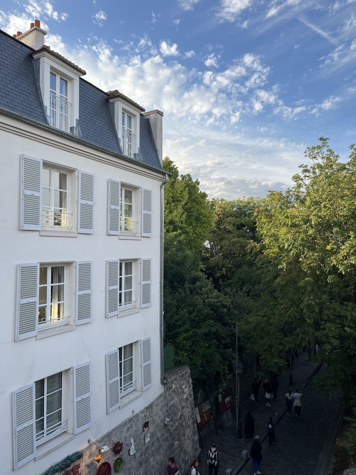 Vue depuis la fenêtre sur les arbres de la rue des Saules
